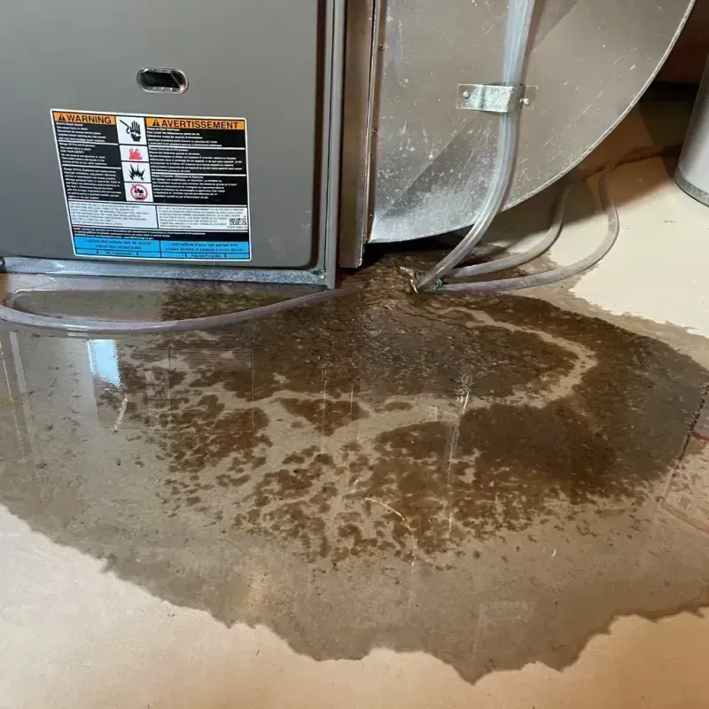 Appliance Leak Cleanup in Converse County, WY